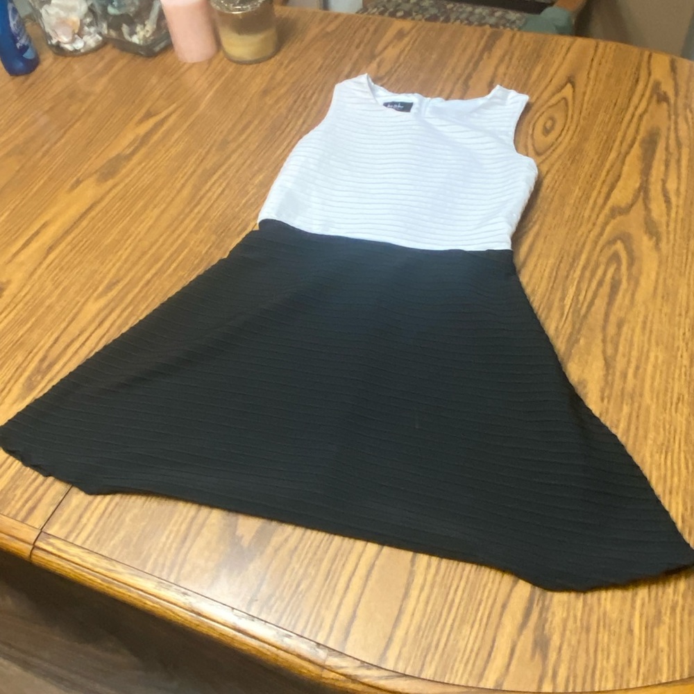 Black and White A-Line Sleeveless Dress for Work